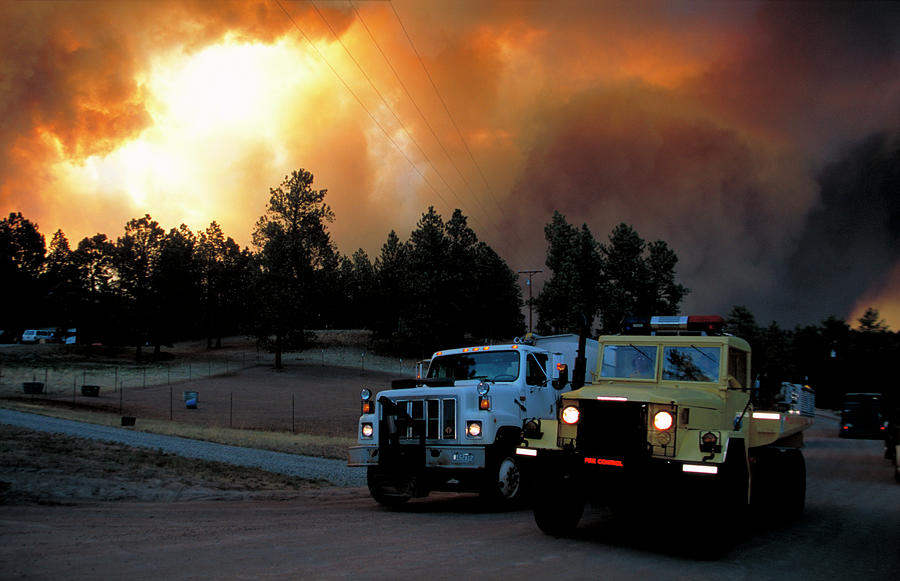 Tree Photograph - Emergency Fire Services by Kari Greer/science Photo Library