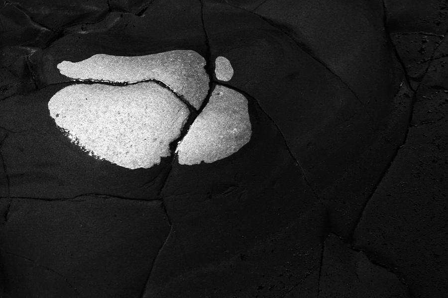 Basalt Photograph - Emergent Lovejoy by Robert Woodward