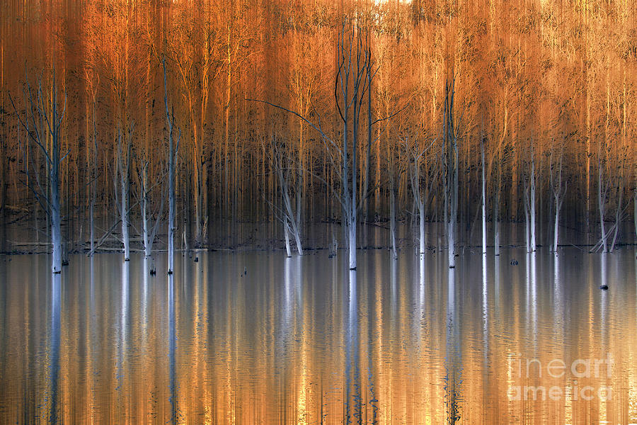 Landscape Photograph - Emerging Beauties Reflected by Marco Crupi