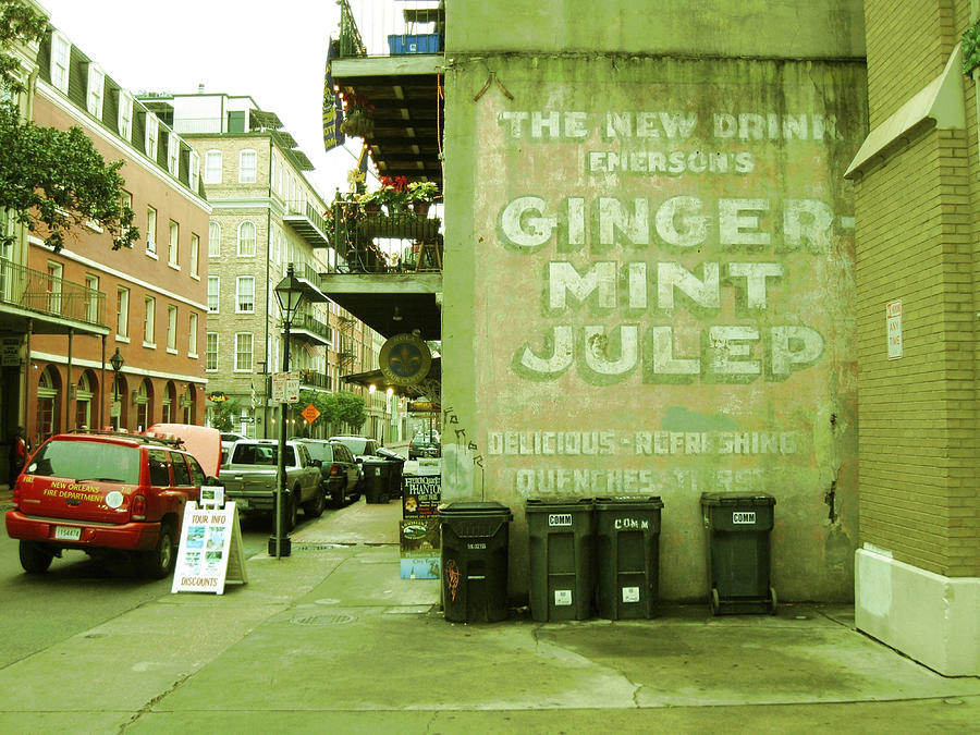 Emersons Ginger Mint Julep Photograph by Michael Morgan