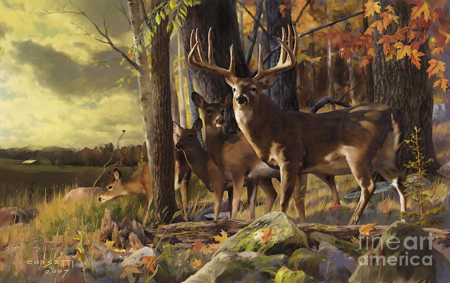 Deer Painting - Eminence at the Forest edge by Robert Corsetti