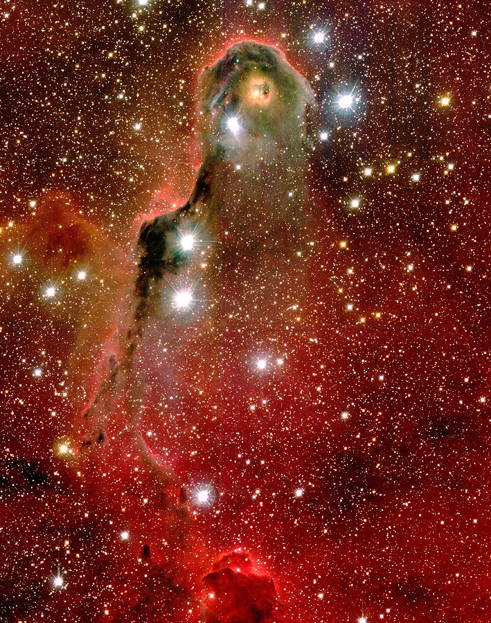 Nebula Photograph - Emission Nebula Ic 1396 by J-c Cuillandre/canada-france-hawaii Telescope/science Photo Library