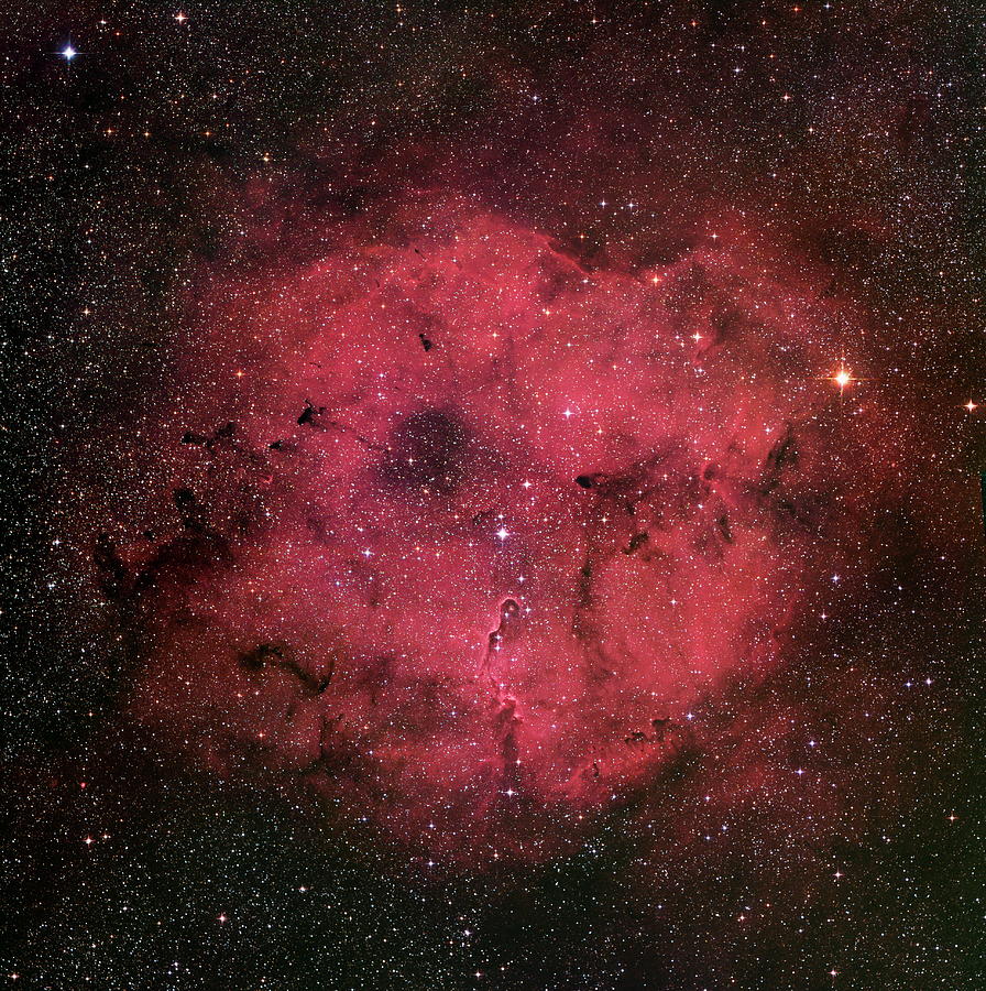 Space Photograph - Emission Nebula Ic 1396 by Robert Gendler/science Photo Library