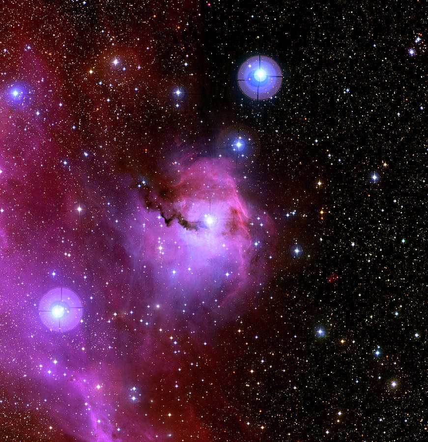 Emission Nebula Ic 2177 Photograph by Canada-france-hawaii Telescope/jean-charles Cuillandre/science Photo Library