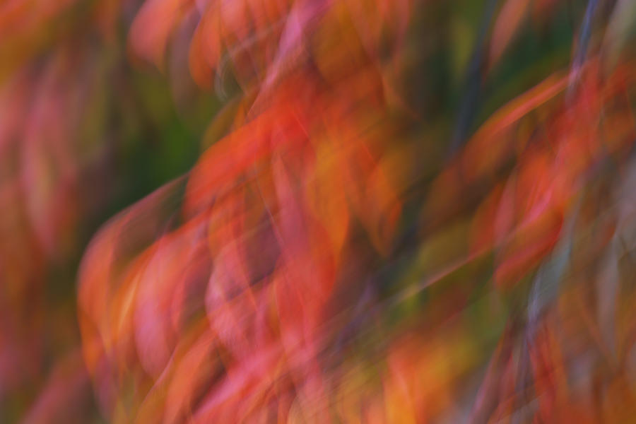 Abstract Photograph - Emotion in Color by Rachel Cohen