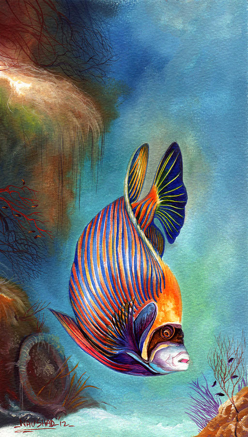 Emperor Angel Fish Painting by Naushad Waheed - Fine Art America