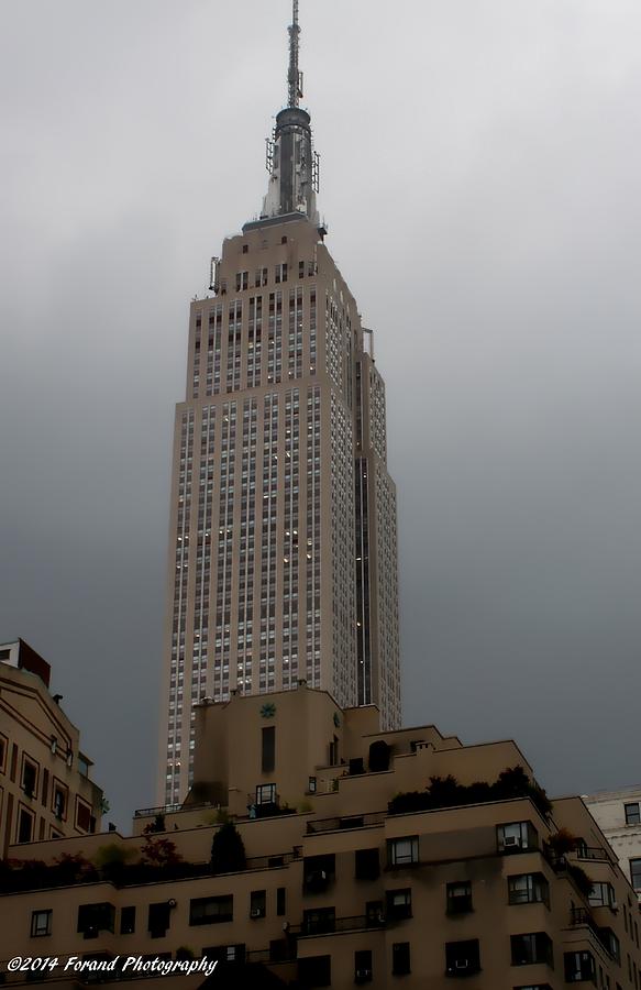 Empire State Building  Photograph by Debra Forand