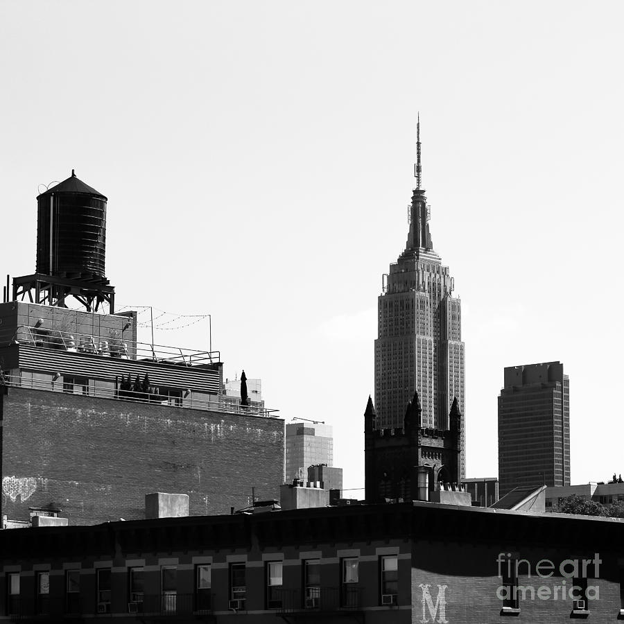 Empire State Building from Hi Line Photograph by Robert Yaeger