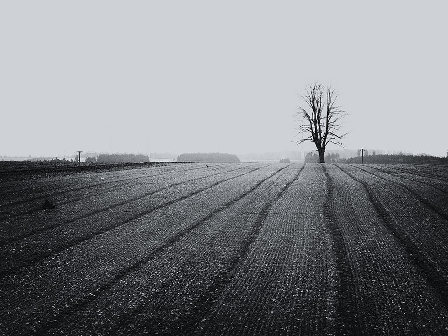 Space Photograph - Emptiness by Mustafa Otyakmaz