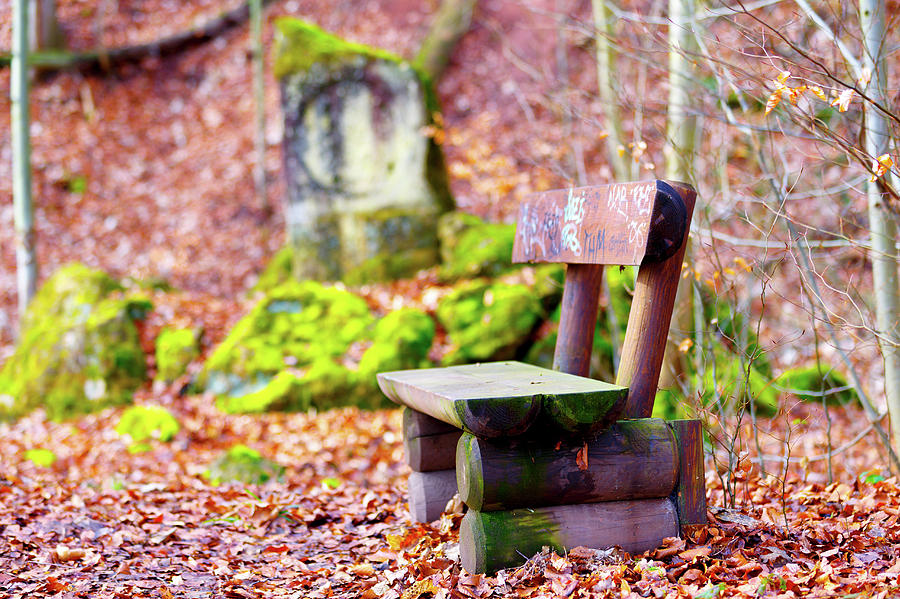 Fall Photograph - Empty Bench And Autumn Leaves by Wladimir Bulgar