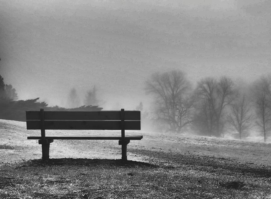 Empty bench and bare trees in winter Photograph by Landon Niedringhaus / FOAP