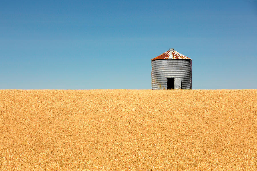 Summer Photograph - Empty Bin by Todd Klassy