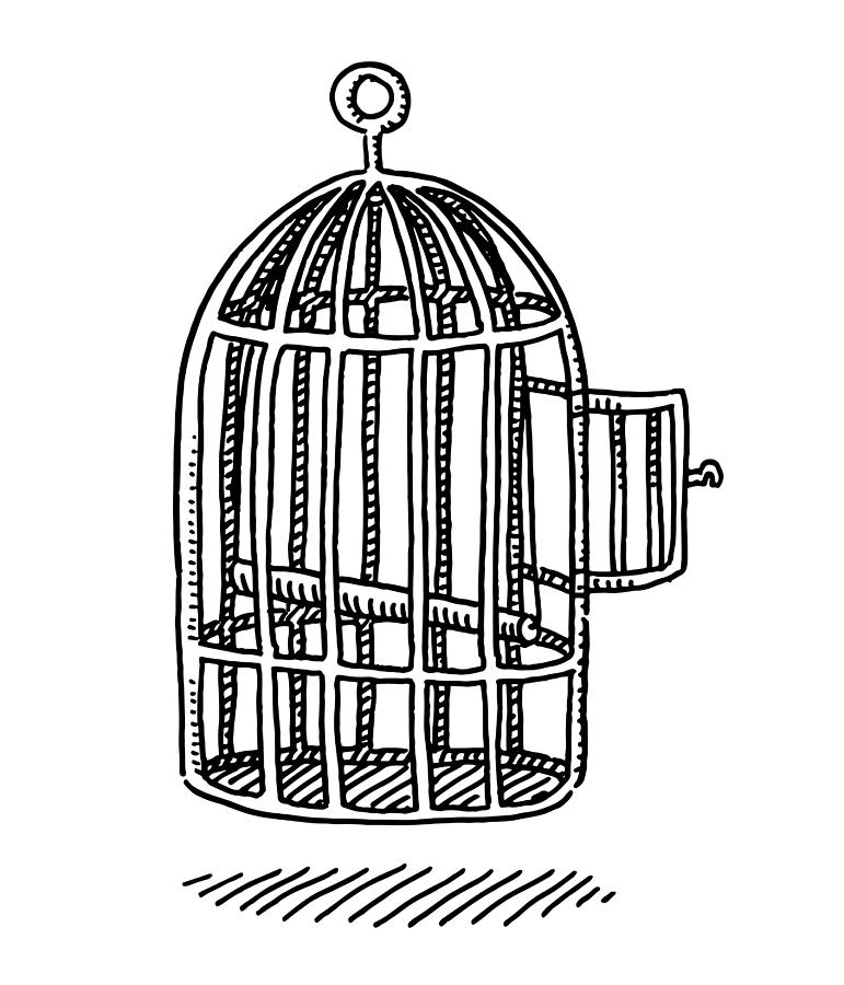 Empty Bird Cage Open Door Drawing Drawing by FrankRamspott