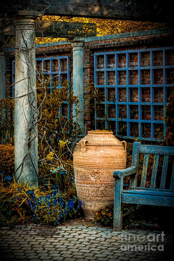 Empty Garden Photograph by Julie Palencia