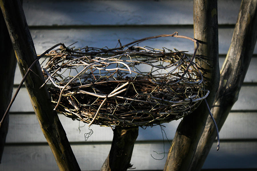 Empty Nest Photograph by Jeff Mize