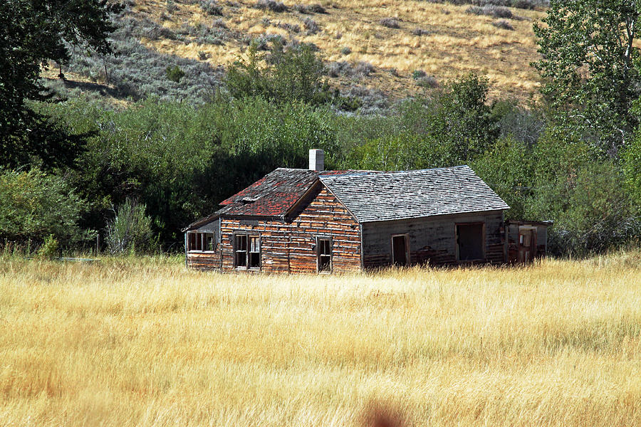 Empty Old House Photograph by Cait Lewis - Fine Art America