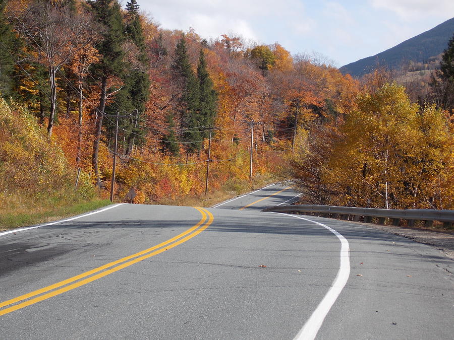 Empty Road in Franconia Notch Photograph by Catherine Gagne