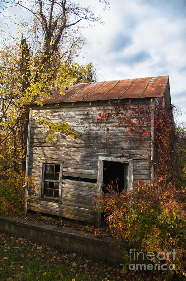 Empty Shell of a House Photograph by Terry Rowe