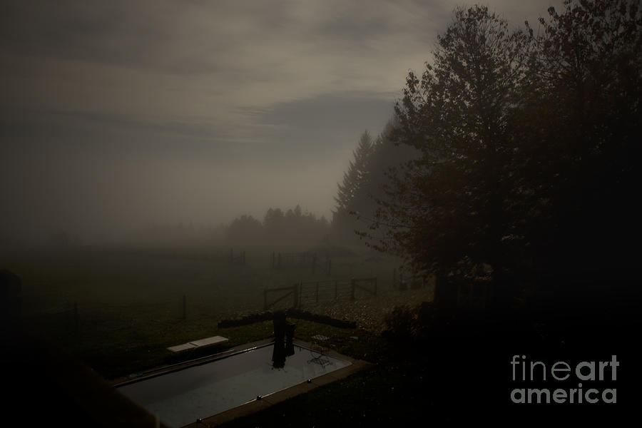 Empty Swimming Pool on a Foggy Night Photograph by Belinda Greb