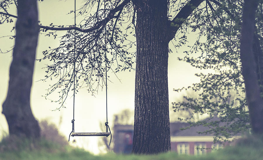 Tree Photograph - Empty Swing by Jenny Rainbow