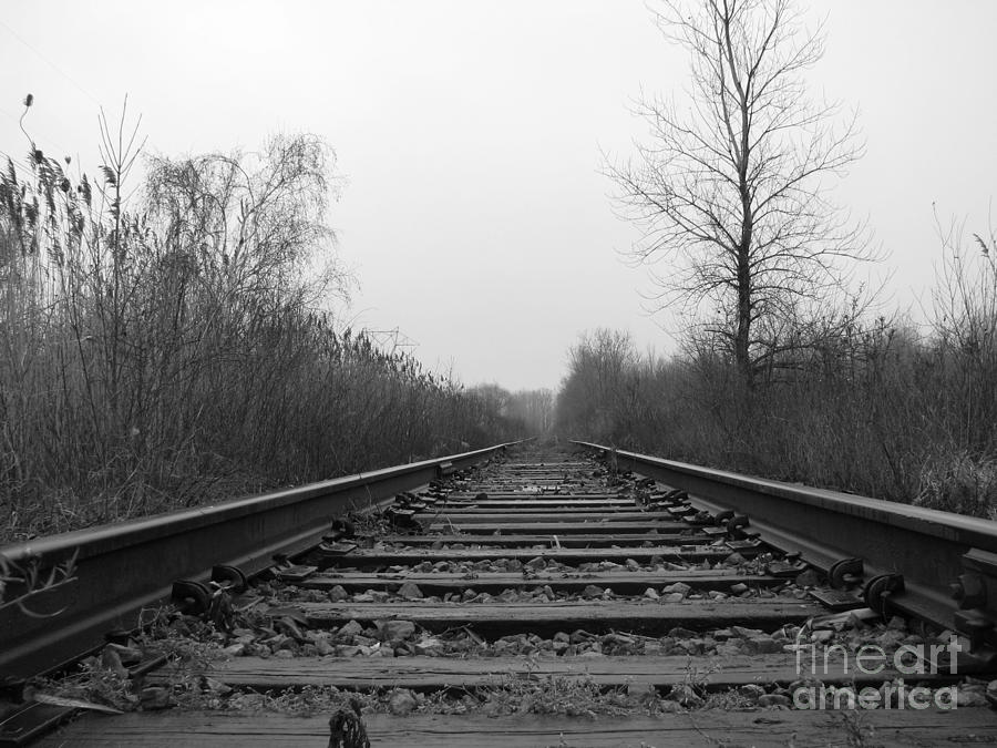 Empty Tracks 2 Photograph by Michael Krek