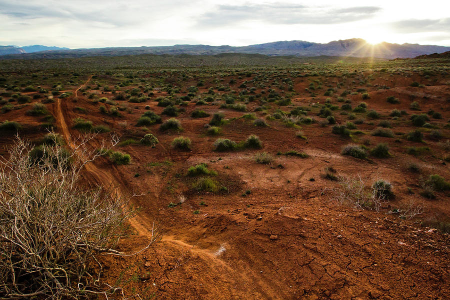 Empty Trail, St. George, Ut Photograph by Dan Barham Empty Trail, St. George, Ut Photograph by Dan Barham
