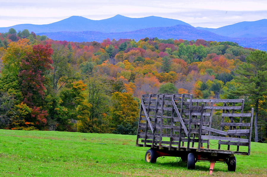 Empty Wagon Photograph by Gary Wells Pixels