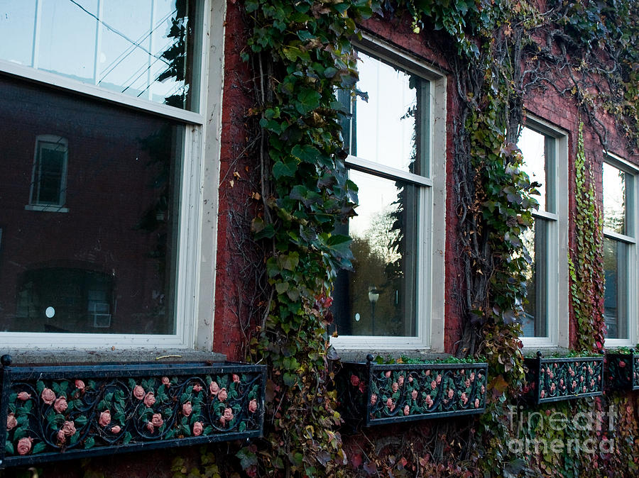 Empty Windows Photograph by Tara Lynn