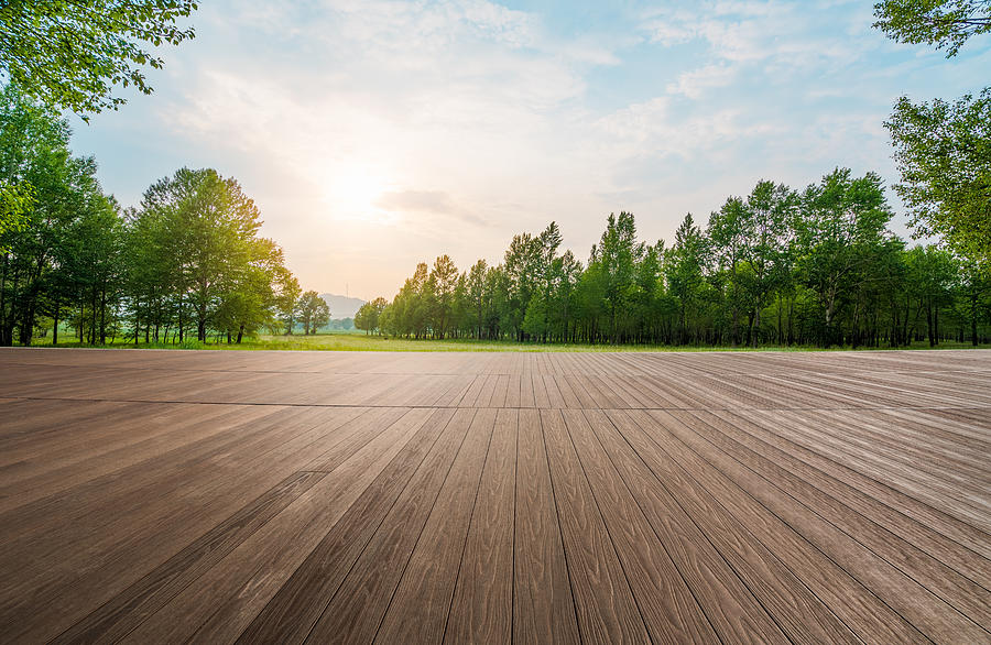 Empty wooden floor in the forest Photograph by Xuanyu Han