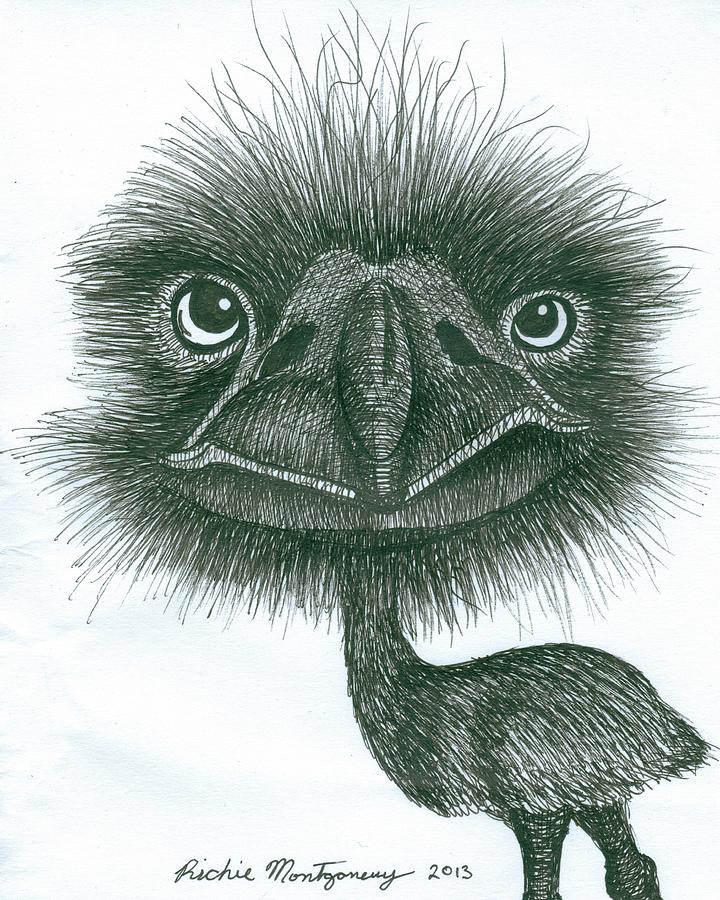 Emu Drawing by Richie Montgomery Fine Art America