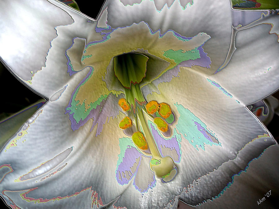 Enameled Lily Digital Art by Kathy K McClellan