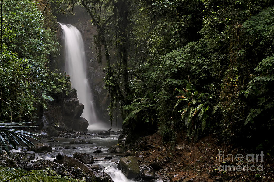 Encantada Waterfall Costa Rica Photograph by Teresa Zieba