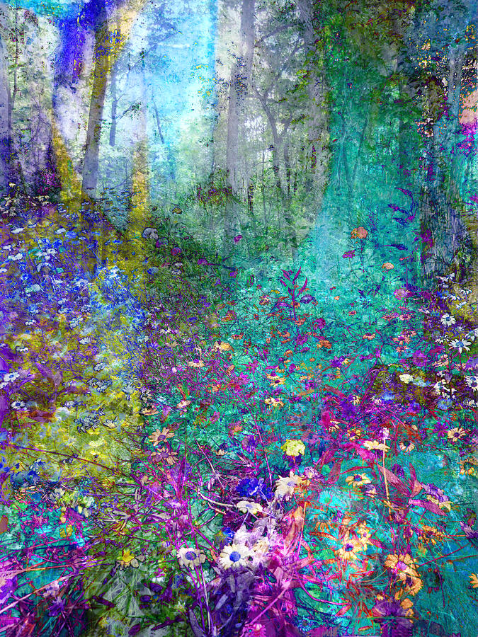 Enchanted Forest Photograph by Ann Powell