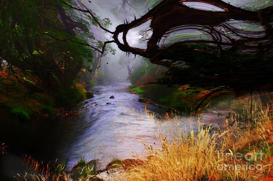 Enchanted forest Digital Art by Blair Stuart