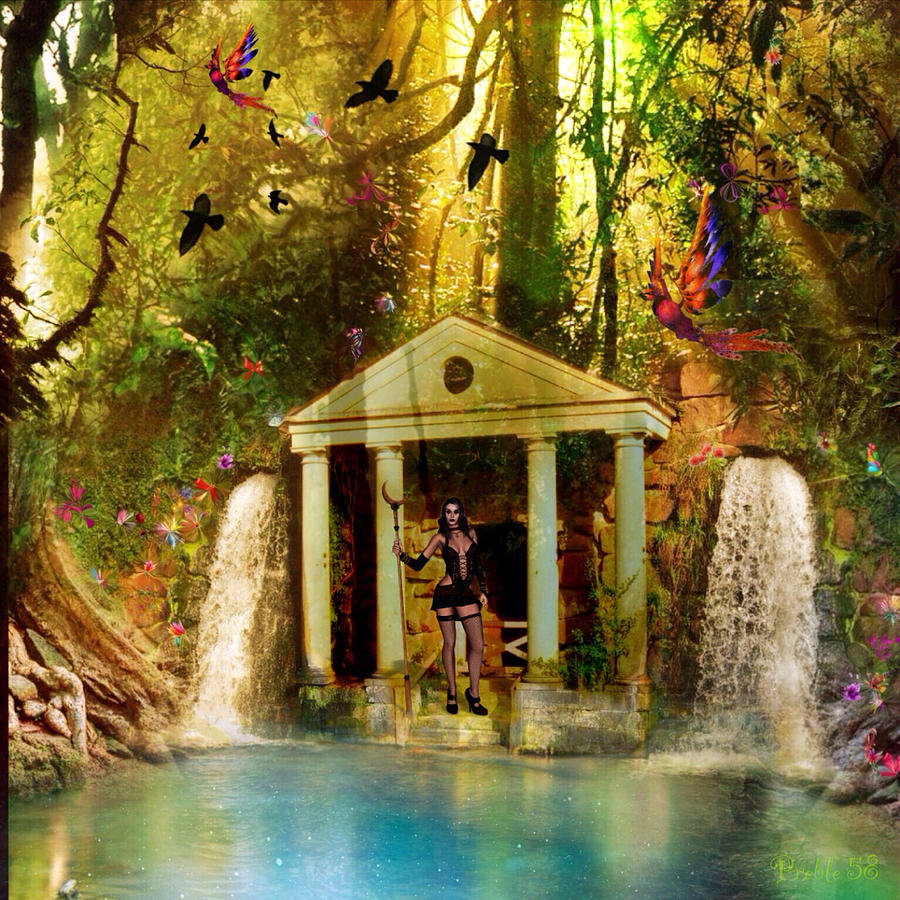 Enchanted Forest Digital Art by D Preble.