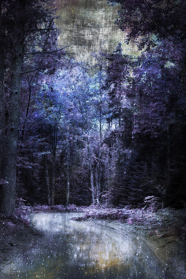 Enchanted Path Photograph by Evie Carrier
