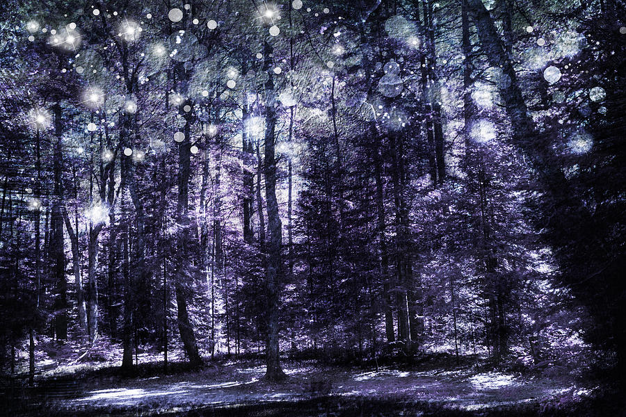 Enchanted Plum Forest Photograph by Evie Carrier