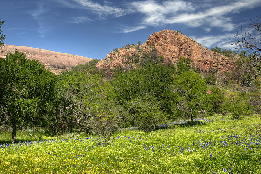 Nature Photograph - Enchanted Rock In Spring by Paul Huchton