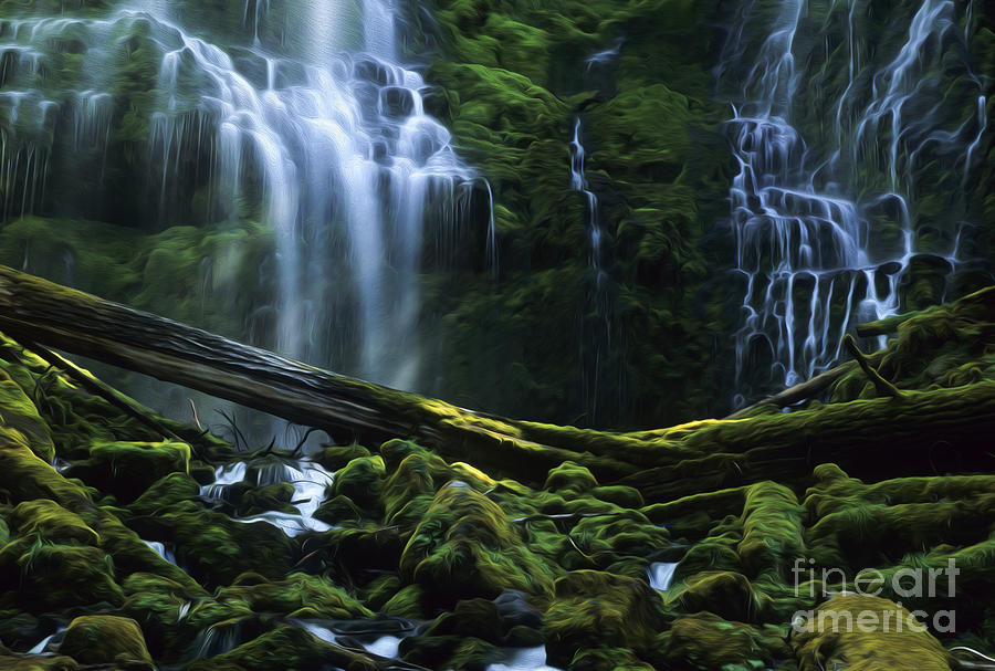 Enchanted Spaces Proxy Falls Oregon Photograph by Bob Christopher