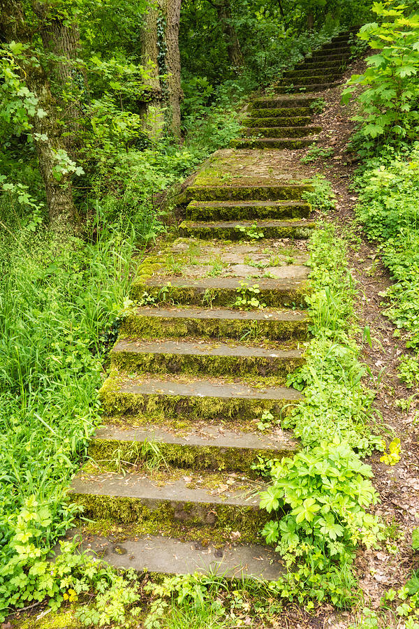 Enchanted Stone Stairs In Spring Photograph