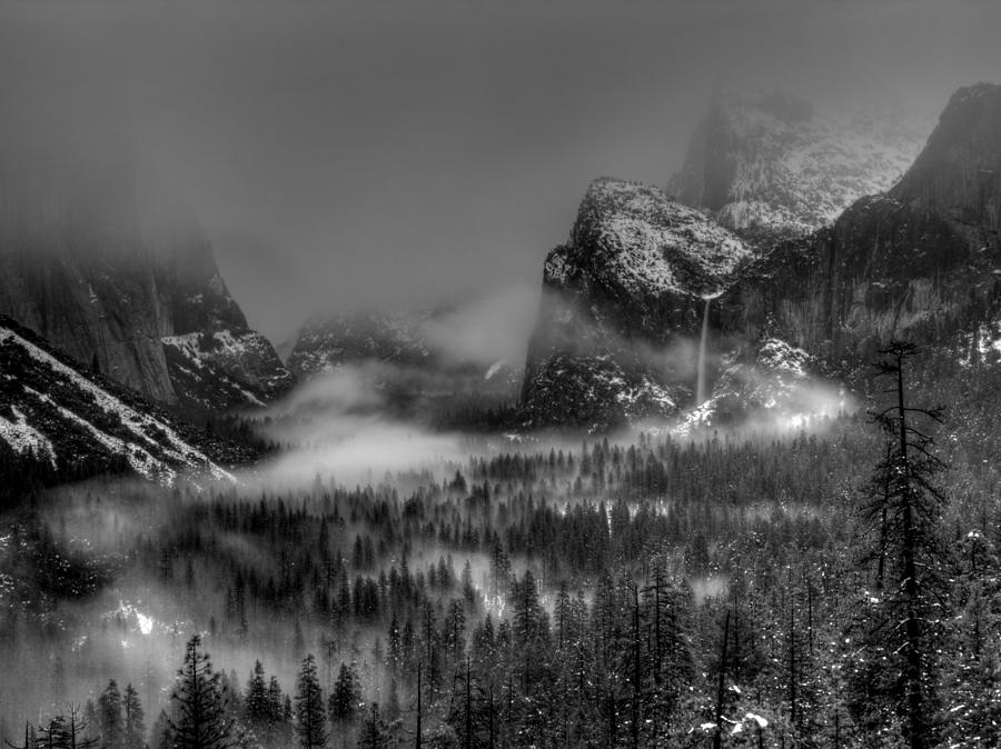 Enchanted Valley in Black and White Photograph by Bill Gallagher