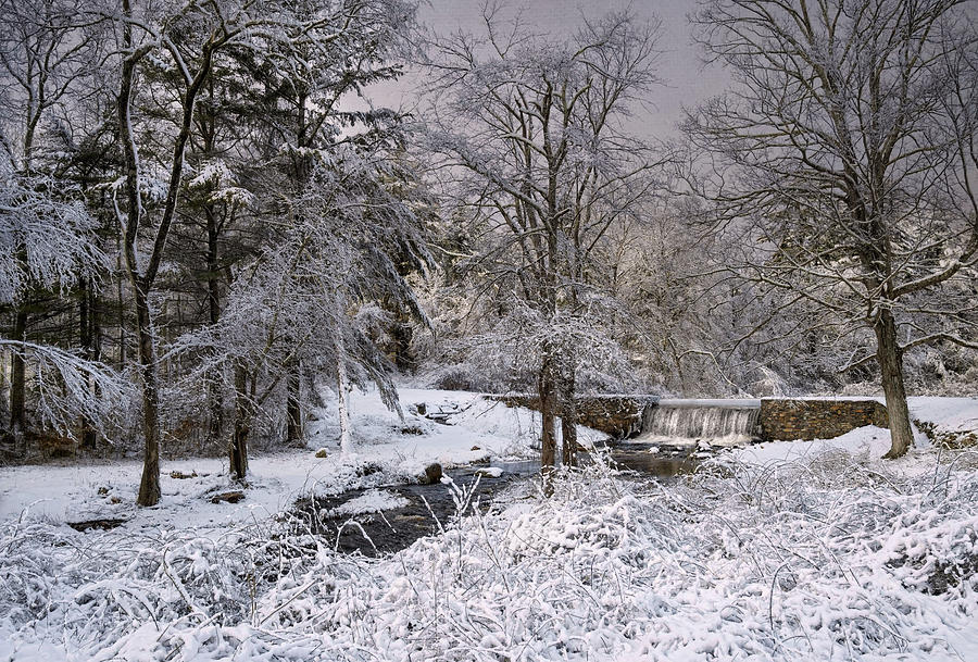 Winter Photograph - Enchanted Winter by Robin-Lee Vieira