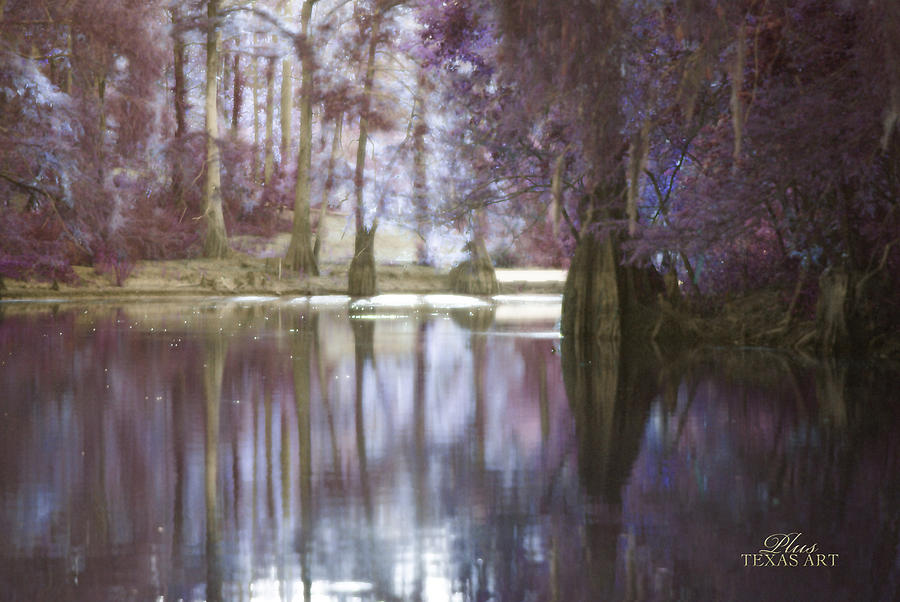 Enchanting Fantasy Bayou Photograph by Theresa Harrington - Fine Art ...