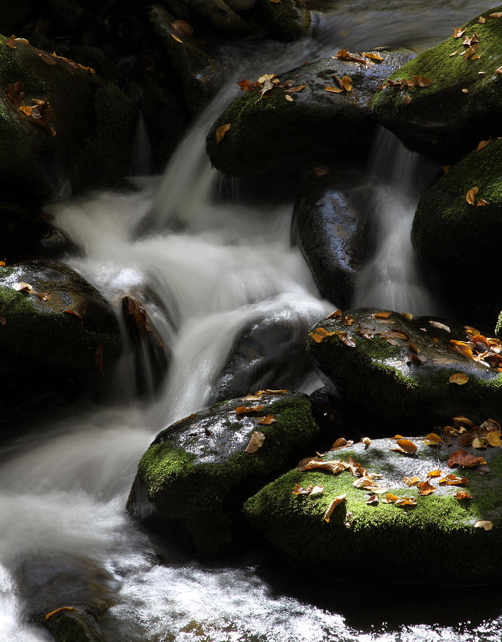 Waterfall Photograph - Enchanting Waters by Heather Kenward