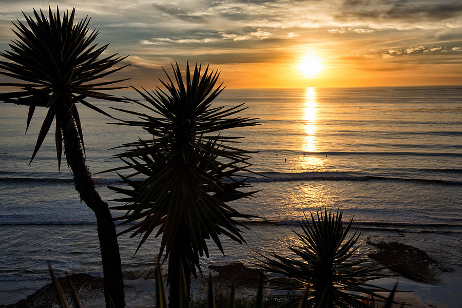 Encinitas Meditation Gardens Sunset - San Diego - California Photograph by Bruce Friedman