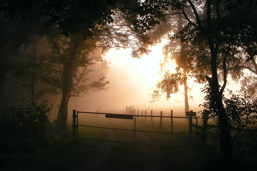 Enclosure Photograph By Kristina Plaas - Fine Art America