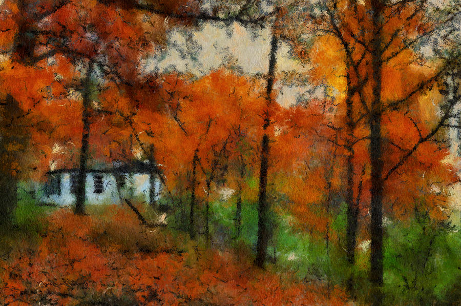 Encompassed By Autumn At The Cottage 03 Photograph by Thomas Woolworth