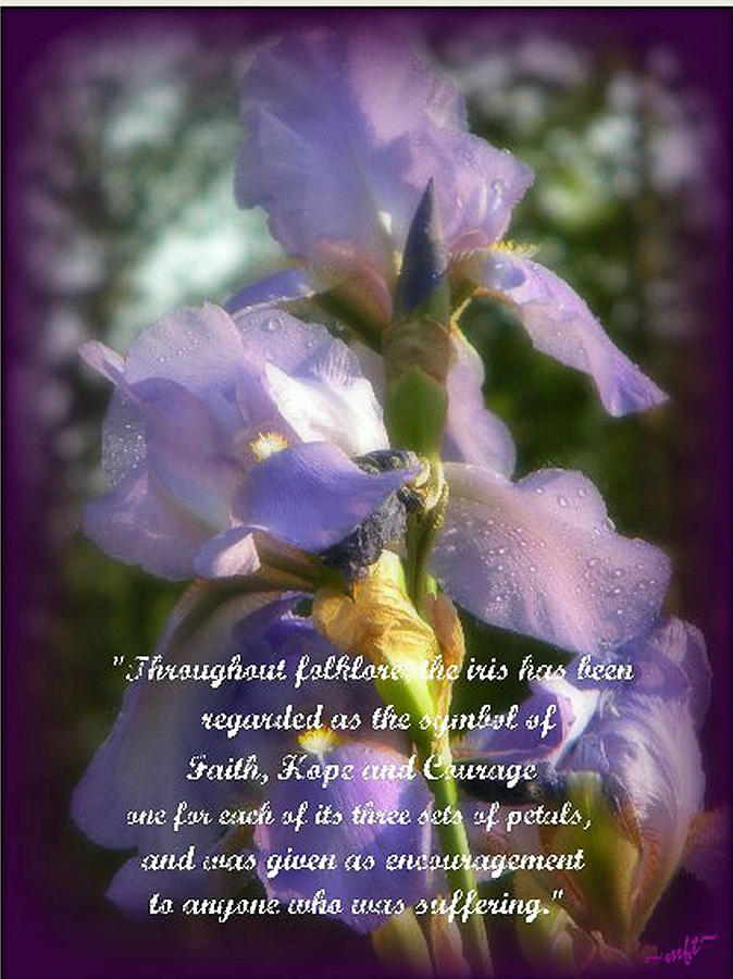 Encouraging Iris Photograph by Michelle Frizzell-Thompson