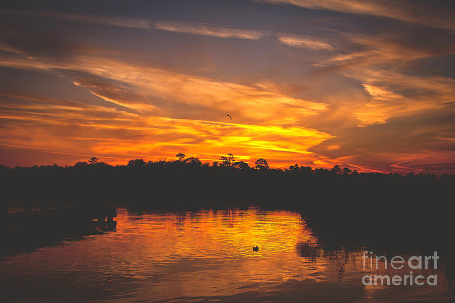 Sunset Photograph - End of Day on the Bayou by Joan McCool