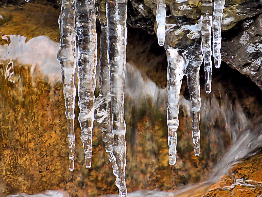 End of March Icicles Photograph by Janice Drew